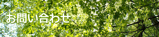 お問い合わせ